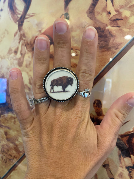Buffalo Roam