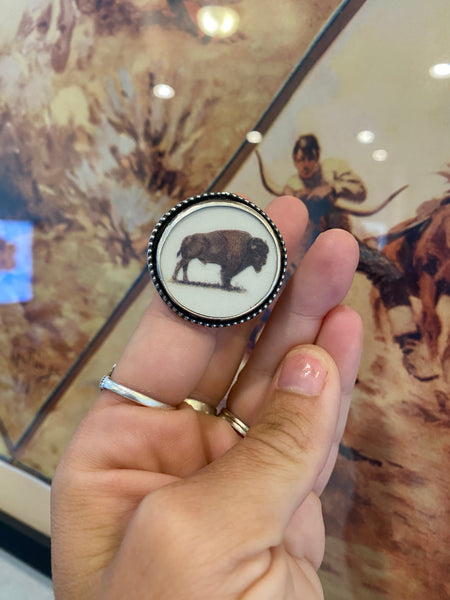 Buffalo Roam