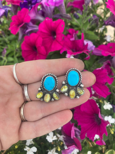 Palomino and Sonoran Post Earrings